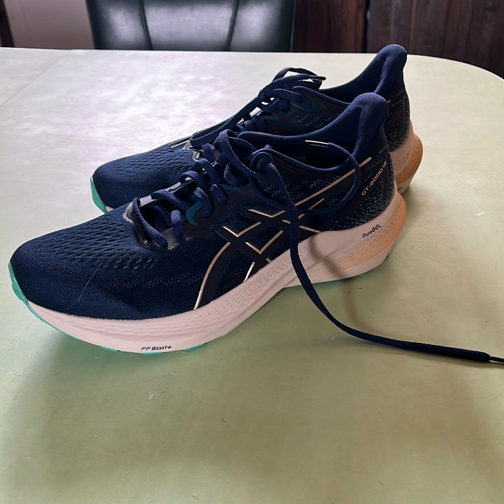ASICS GT-2000 12 size 9.5 // EU 41.5 barely worn
Primarily navy